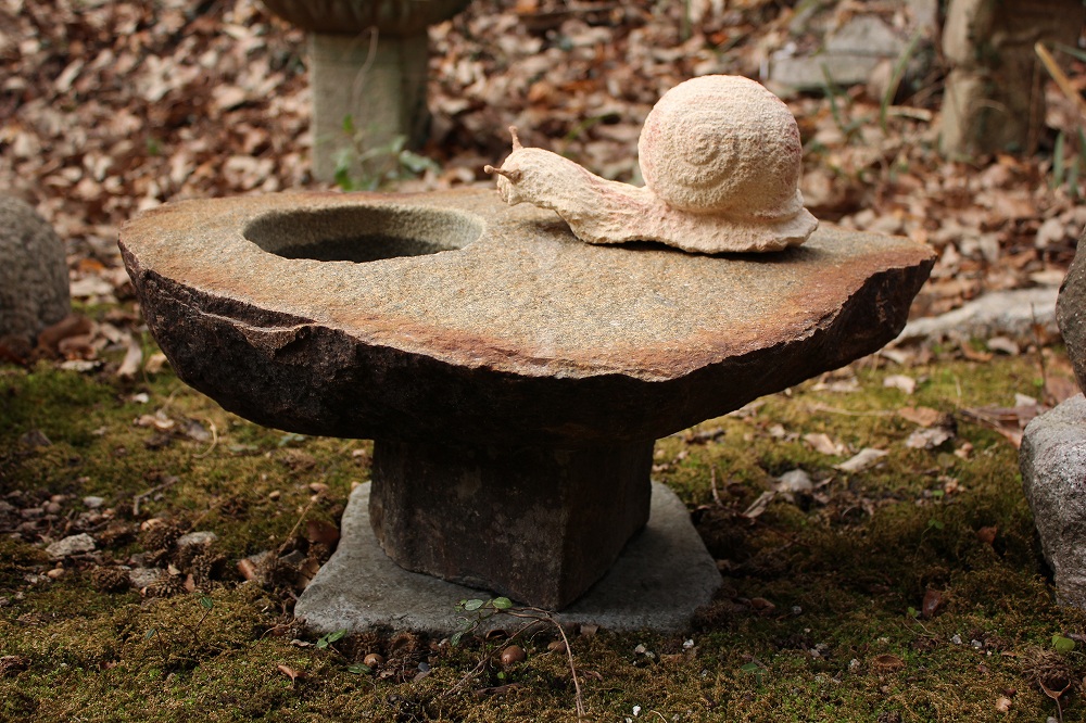 カタツムリの水鉢