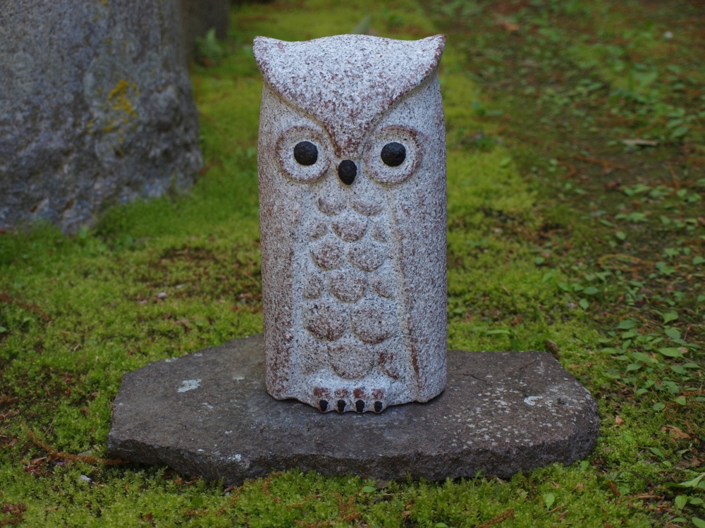 Horn owl