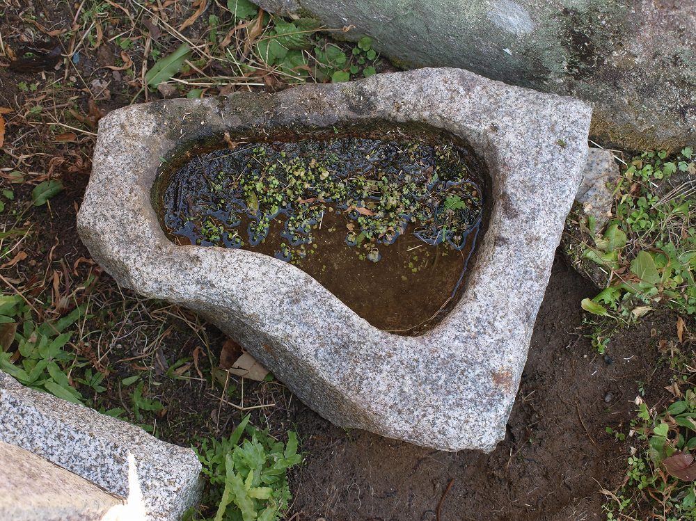 ひょうたん水鉢（甲州鞍馬）