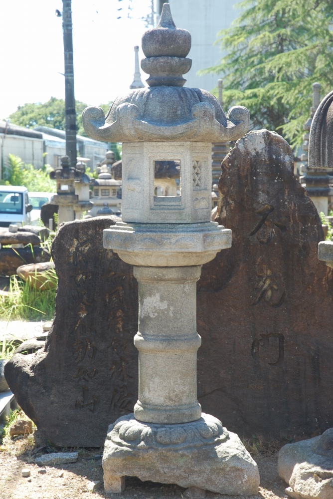 kasuga 240㎝　USED