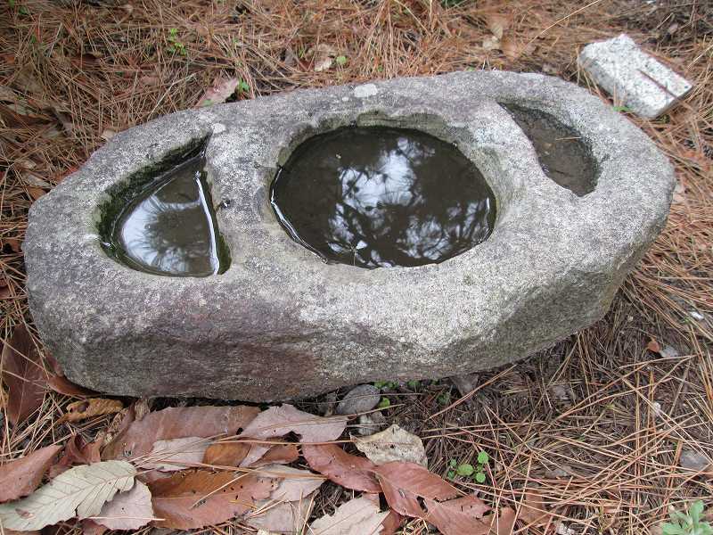 水鉢　本鞍馬石