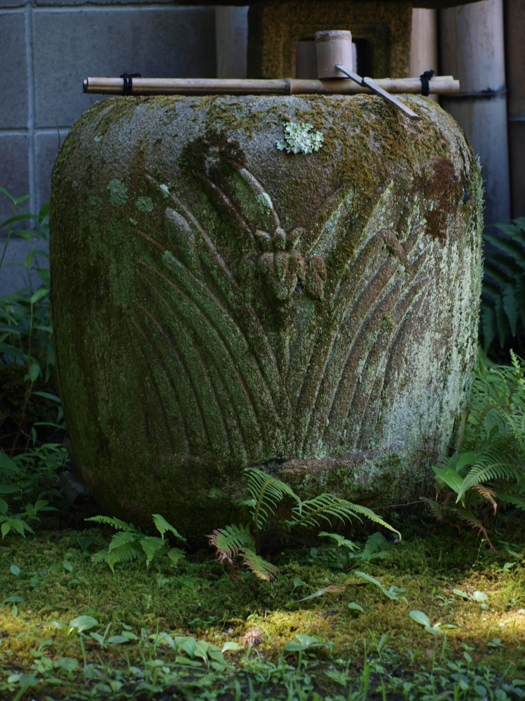 菖蒲の夏目（古）