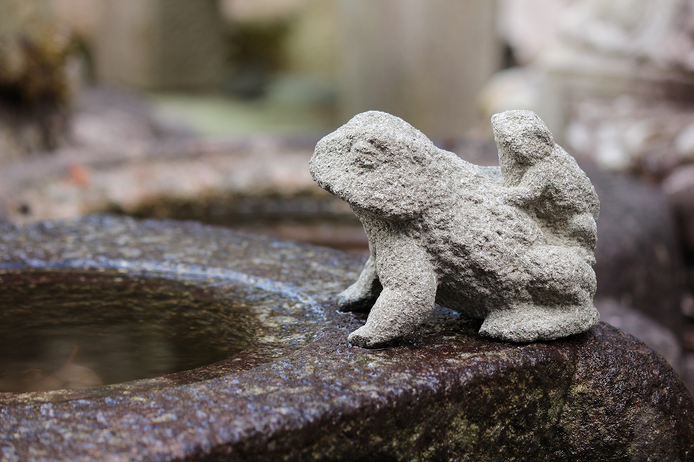 frogs parent and child