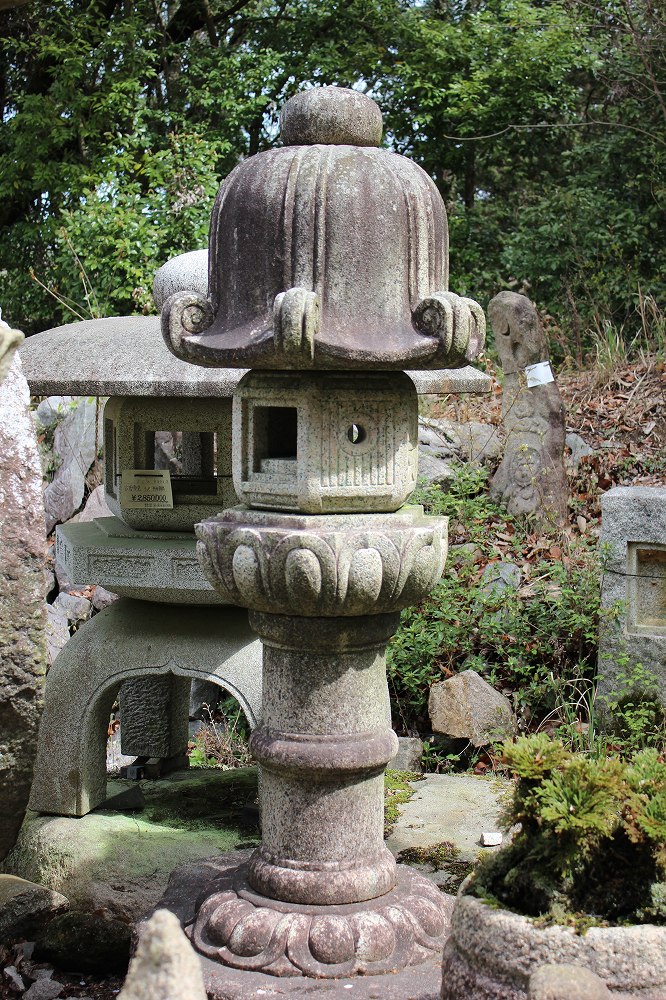 Rikyu