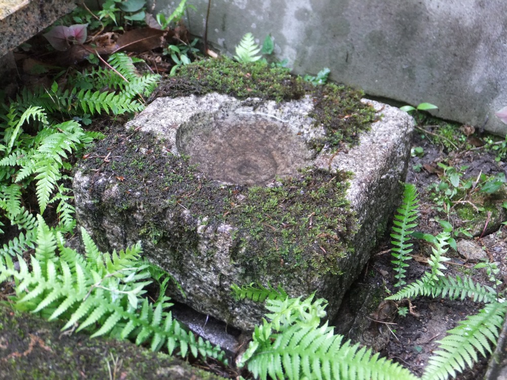 四角の花水鉢