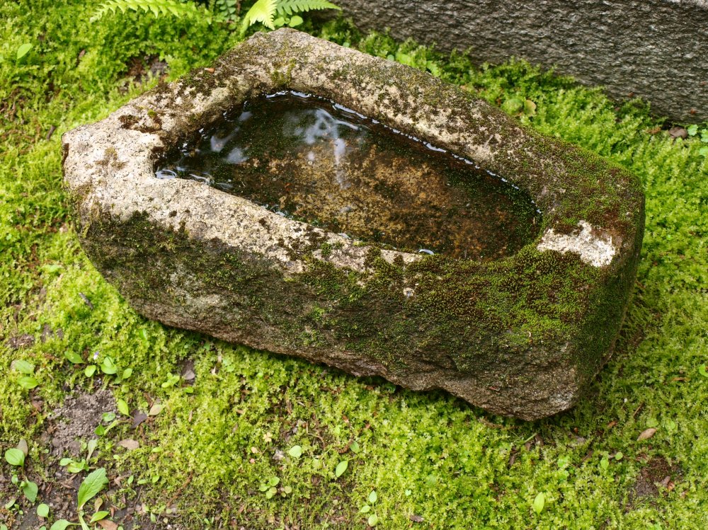 Lotus petal basin