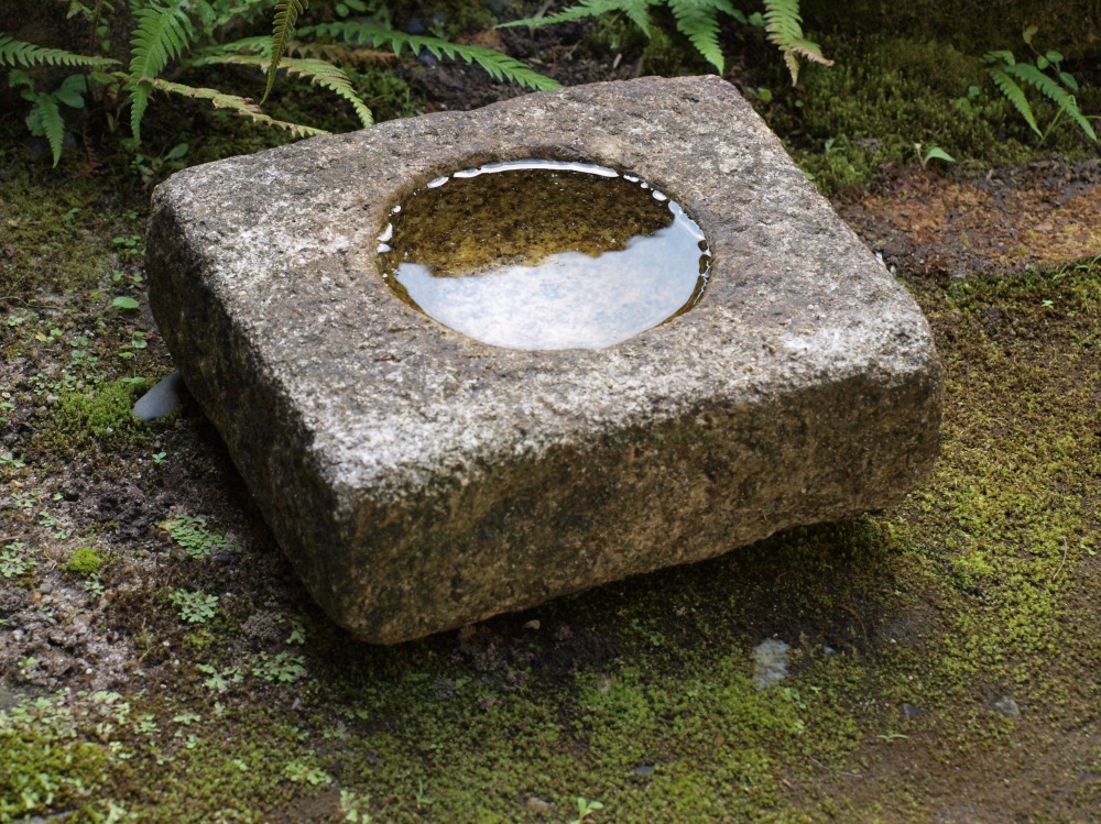 Square　water bowl