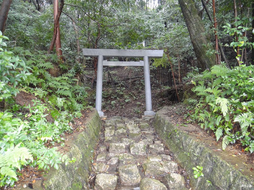 神明石鳥居8寸　クサビ付