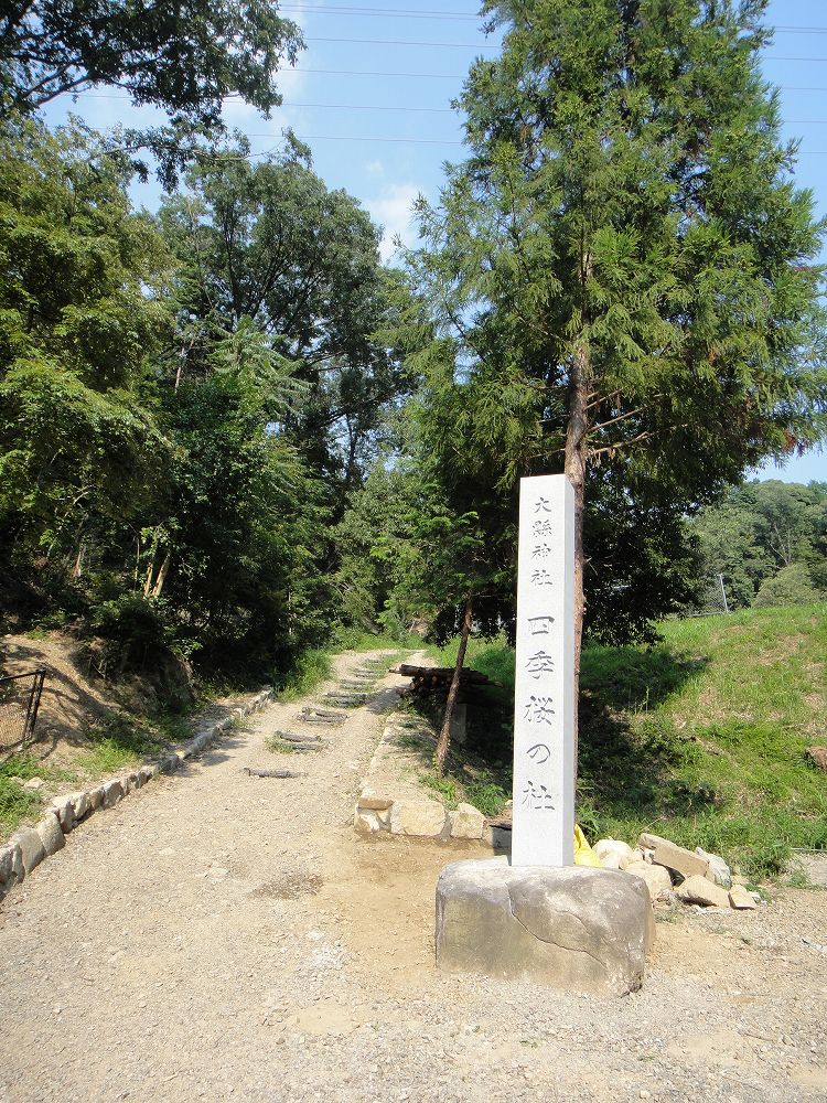 神社の石碑　四季桜の杜